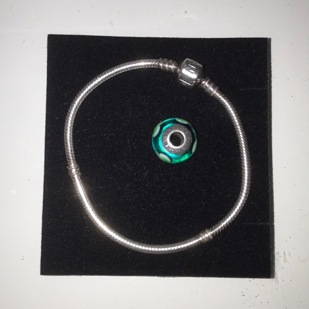 Pandora Bracelet and Murano Charm